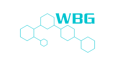 Wild Bunch Gaming